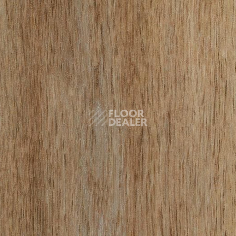 Кварцвиниловые полы Forbo Effekta Professional 0.45 4104 P Rustic Harvest Oak PRO фото 1 | FLOORDEALER